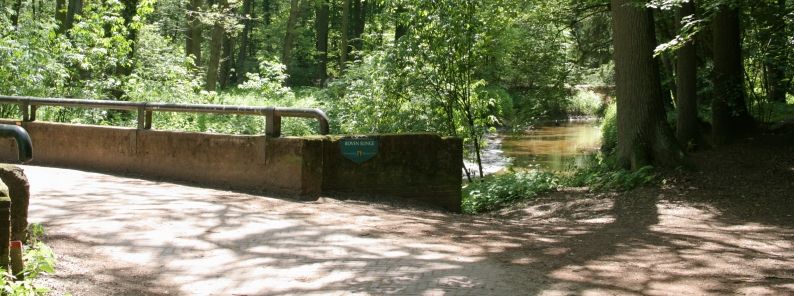 Fietsen in de achterhoek - Natuurkampeerterrein, Landgoedcamping, Minicamping | Lutje Kössink