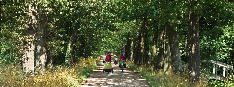 Fietsen in de achterhoek - Natuurkampeerterrein, Landgoedcamping, Minicamping | Lutje Kössink