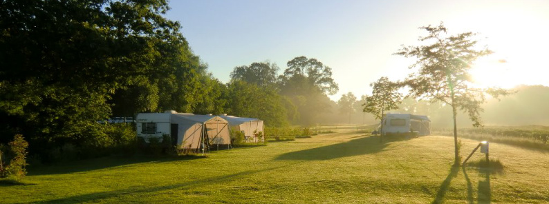 Home - Natuurkampeerterrein, Landgoedcamping, Minicamping | Lutje Kössink