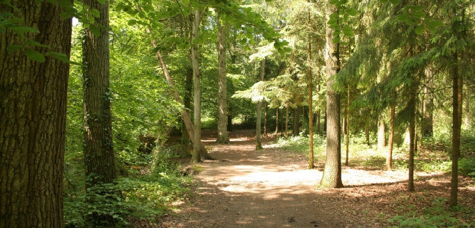 Natuurkampeerterrein en Mini-camping Lutje Kössink - Winterswijk