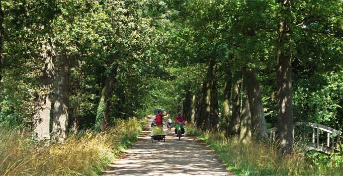 Natuurkampeerterrein en Mini-camping Lutje Kössink - Winterswijk