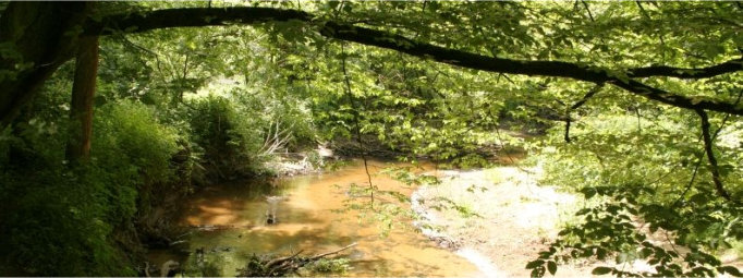 Natuurkampeerterrein en Mini-camping Lutje Kössink - Winterswijk